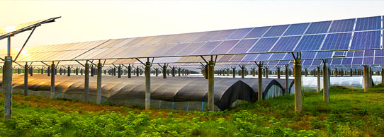Solar-powered Agriculture